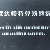 語蝶絲模特兒
